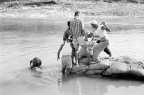 춘천댐공사(1962)