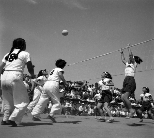 교통부 제57주년 기념 체육대회
