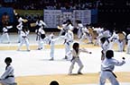88 서울올림픽대회(시범종목 태권도 남·여 밴터급 - 미들급전)