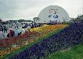 2002 안면도 국제꽃박람회 1