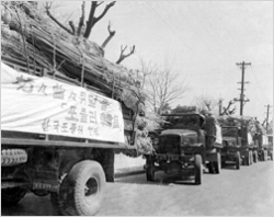 포플러 나무묘목 운반차량