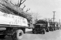 포플러 나무묘목 운반차량 1