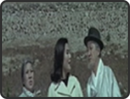 팔도강산(1967, 배석인)