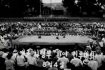유엔사령부 환영 권투대회(8월4일)