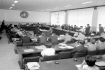 1965년도세계보건기구(W.H.O)분과회의