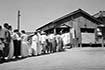 1952년 대통령선거를 위해 영등포 투표소 앞에 줄서있는 시민들 모습 