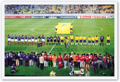 2002년월드컵축구대회조직 위원회, 2002 FIFA 월드컵 한국/일본 공식보고서(2003)