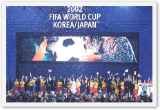 2002년월드컵축구대회조직 위원회, 2002 FIFA 월드컵 한국/일본 공식 보고서(2003)