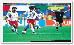 2002년월드컵축구대회조직 위원회, 2002 FIFA 월드컵 한국/일본 공식보고서(2003)