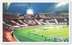 2002년월드컵축구대회조직위원회, 2002 FIFA 월드컵 한국/일본™ 공식화보집(2003)