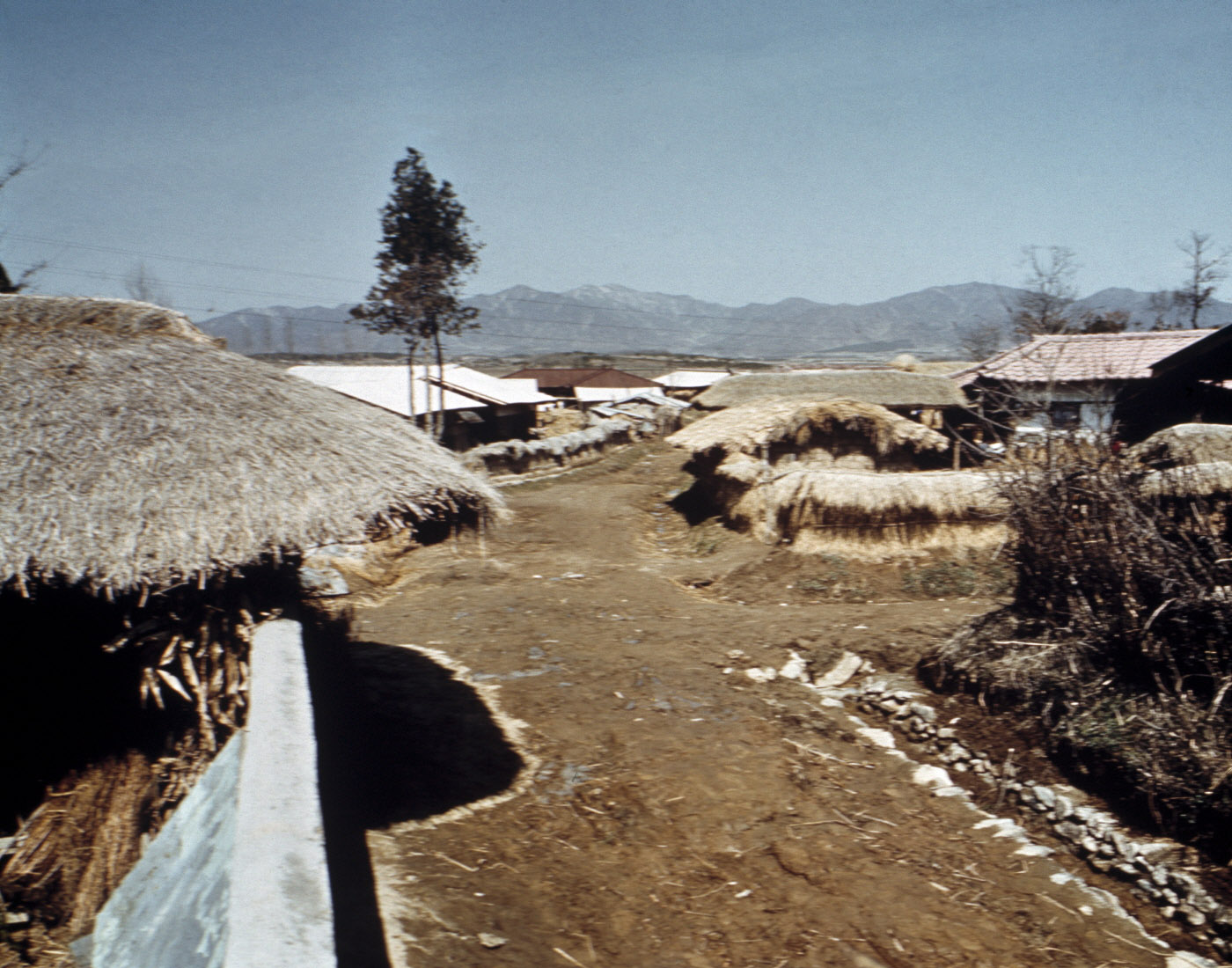 농촌새마을운동 시행 전 초가집으로 구성된 마을