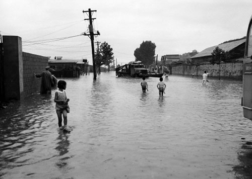 물에 잠긴 도로를 걷는 아이들(1965)