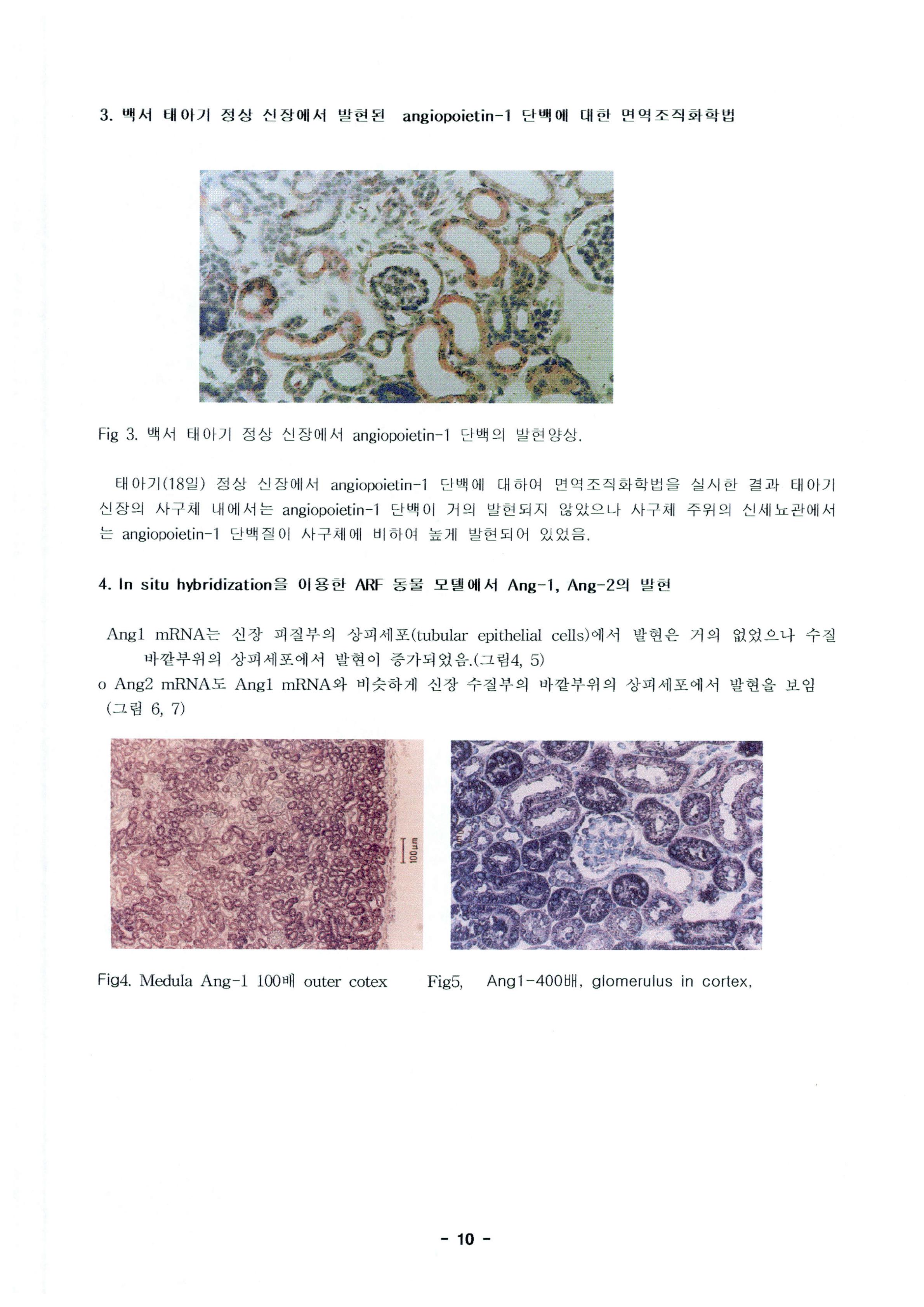 국가 기록원 원문뷰어 출력