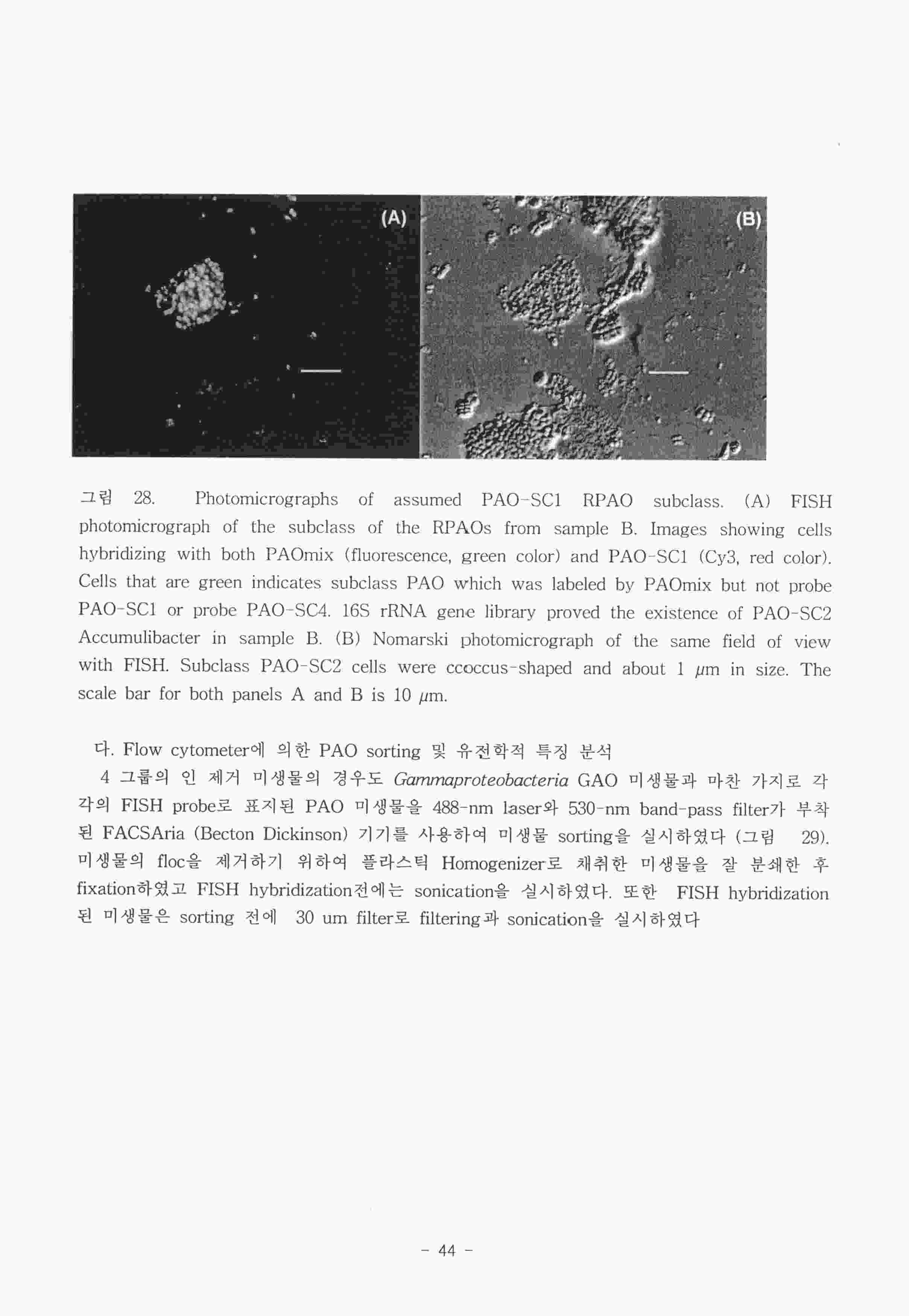국가 기록원 원문뷰어 출력