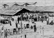 (사진)거제도 포로수용소 전경( 1950), CET0048117(2-1)