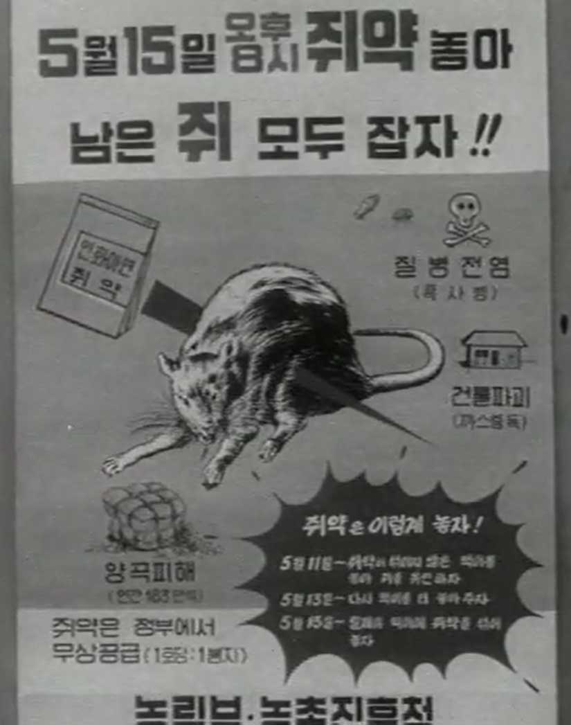 쥐를 잡자 포스터