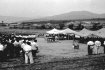 1952년 권농일 기념행사