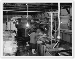 제일모직 공장 원단가공 작업 모습, 1965