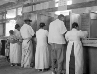 지방선거 투표 광경