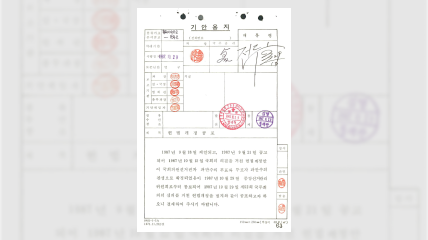 제9차 개헌 공포 건