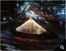 서울시청 앞 크리스마스 트리 썸네일 이미지