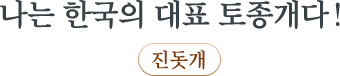나는 한국의 대표 토종개다! 진돗개