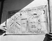 DDT 살포법을 담은 포스터