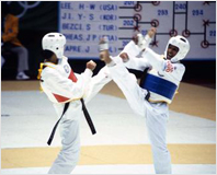 88서울올림픽대회 시범종목 태권도 경기(1988년)