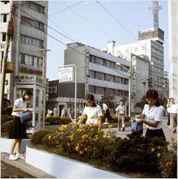도시새마을운동의 일환으로 추진된 거리환경 가꾸기 모습(1974년)