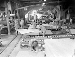성창기업 수출용 베니어합판 공장(1965년)