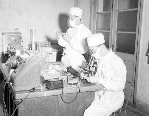 중앙결핵병역소 실험모습(1958)