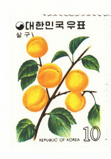 과실 시리즈(10원:살구)