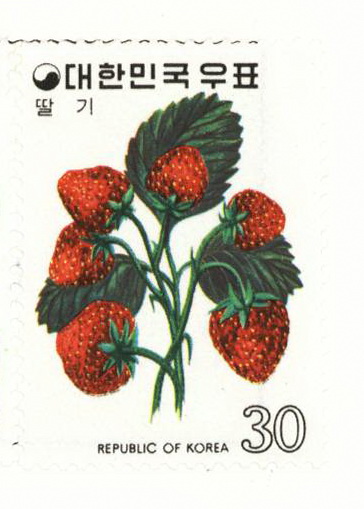 과실 시리즈(30원:딸기)