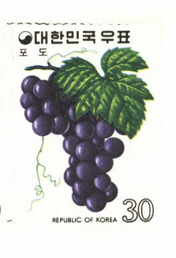 과실 시리즈(30원:포도)