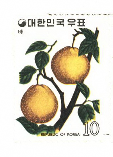과실 시리즈(10원:배)