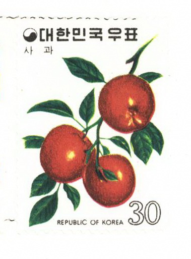 과실 시리즈(30원:사과)