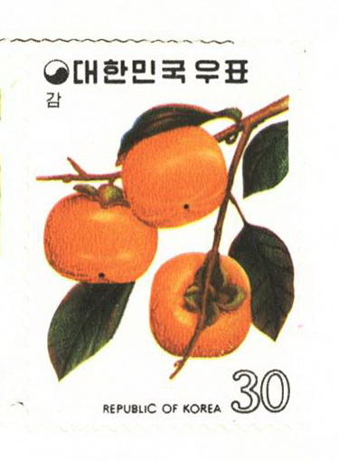 과실시리즈(30원:감)