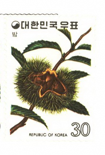 과실 시리즈(30원:밤)
