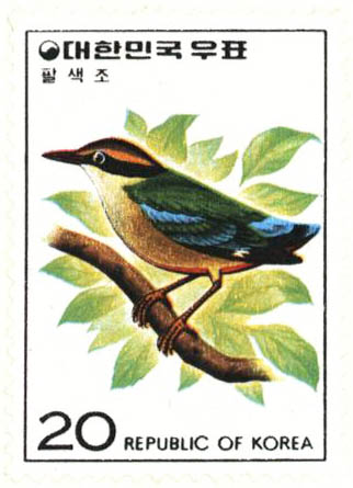 조류 시리즈(팔색조)