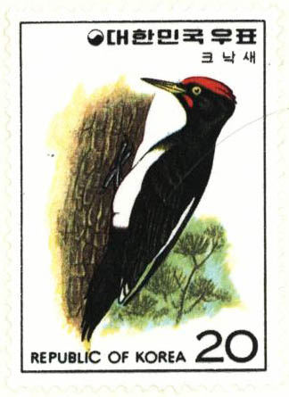 조류 시리즈(크낙새)