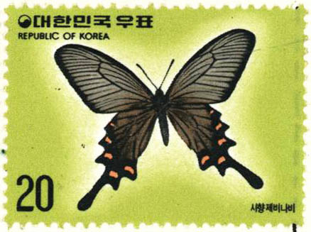 나비 시리즈(사향제비나비)