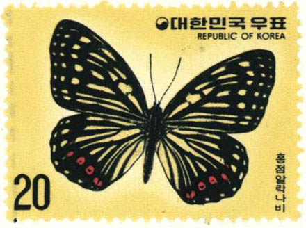 나비 시리즈(홍점알락나비)