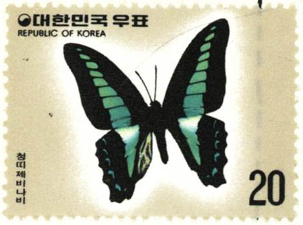 나비 시리즈(청띠제비나비)