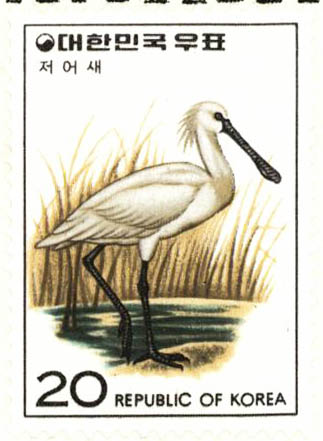 조류 시리즈(저어새)