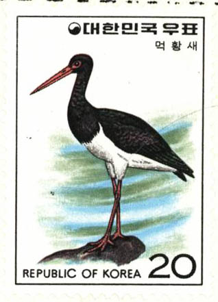 조류 시리즈(먹황새)