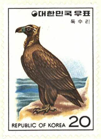 조류 시리즈(독수리)