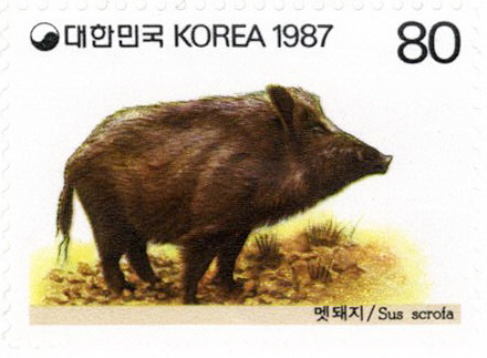 동물 우표(80원:멧돼지)