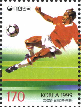 2002년 월드컵 축구 대회