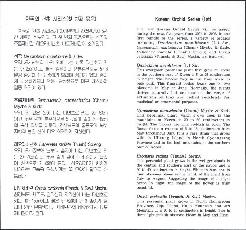 
													 		한국의 난초 시리즈(석곡)
													 	  