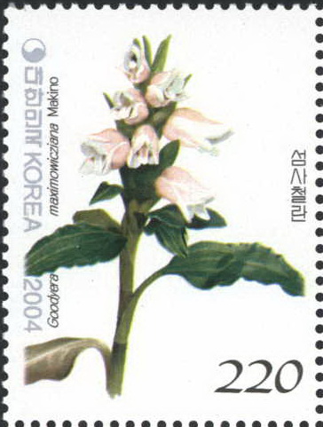 한국의 난초 시리즈(섬사철란 외 3종)